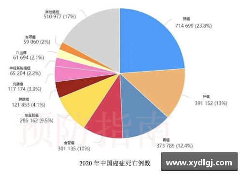 日本球员的饮食习惯与竞技表现的关系探析